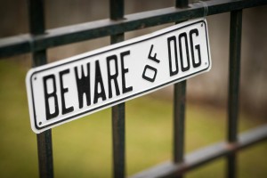 Beware of dog sign dog bite pet ownership chance for a dog bite