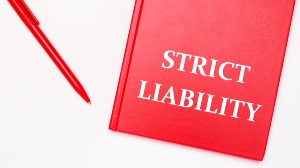 strict liability product liability basics